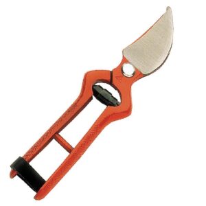 Tijeras para podar